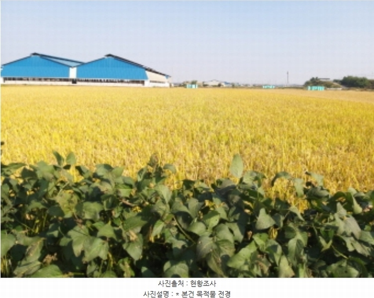 2024타경3655 경기도 평택시 오성면 창내리 539-15 농지 경매 이미지