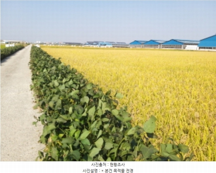 2024타경3655 경기도 평택시 오성면 창내리 539-15 농지 경매 이미지