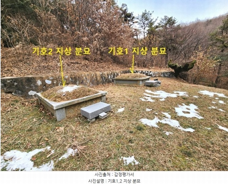 2024타경56451 경기도 평택시 도일동 산5-3 임야 경매 이미지