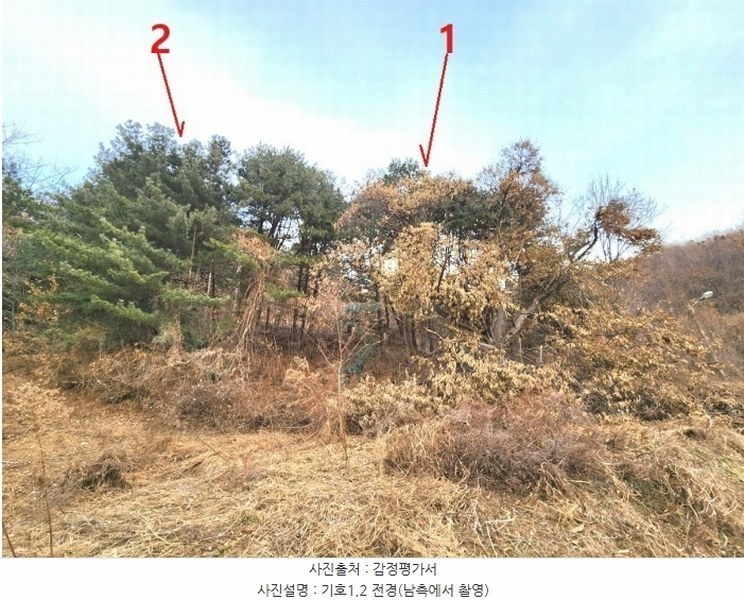 2024타경56451 경기도 평택시 도일동 산5-3 임야 경매 이미지