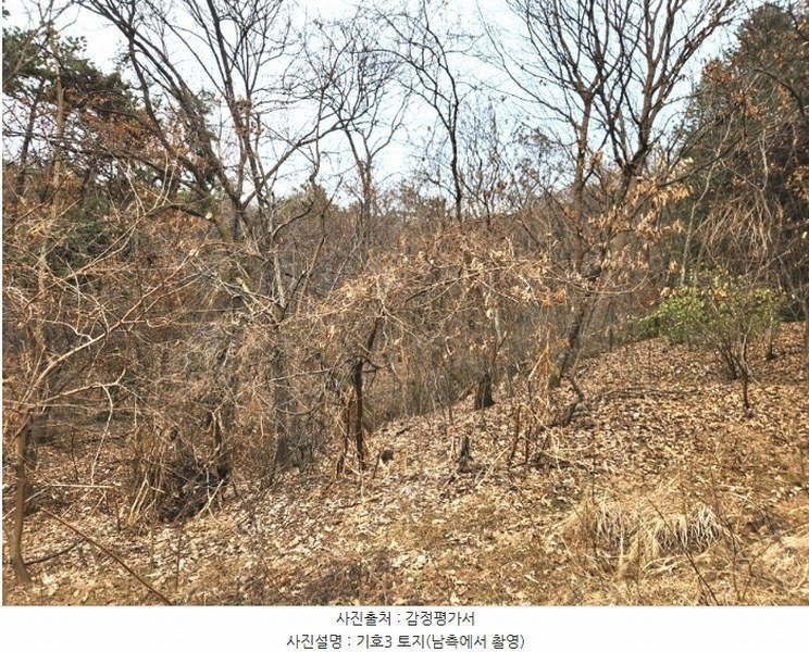 2024타경56451 경기도 평택시 도일동 산5-3 임야 경매 이미지