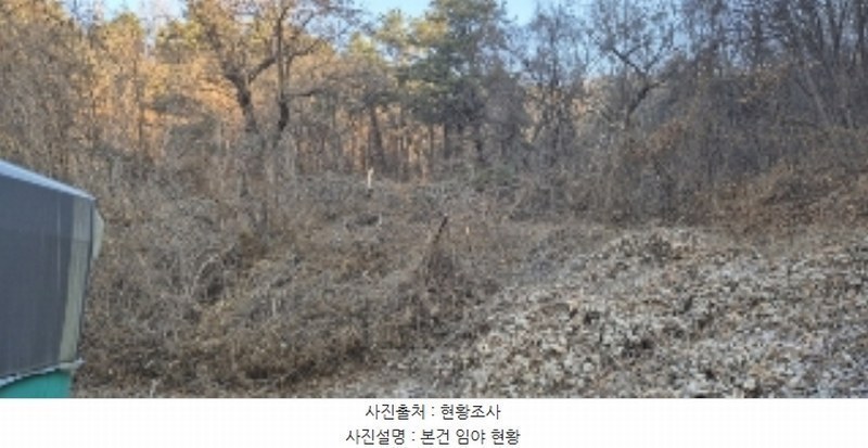 2024타경56451 경기도 평택시 도일동 산5-3 임야 경매 이미지