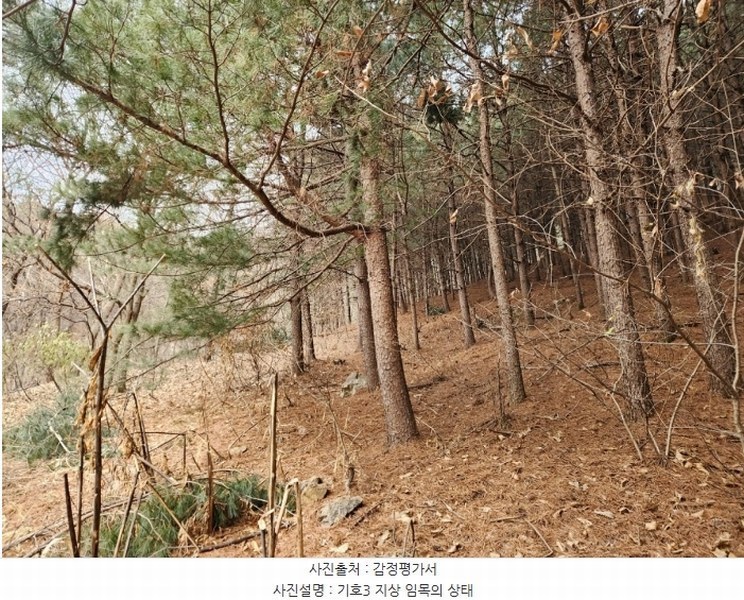 2024타경56451 경기도 평택시 도일동 산5-3 임야 경매 이미지
