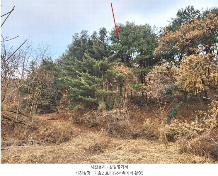 2024타경56451 경기도 평택시 도일동 산5-3 임야 경매 이미지
