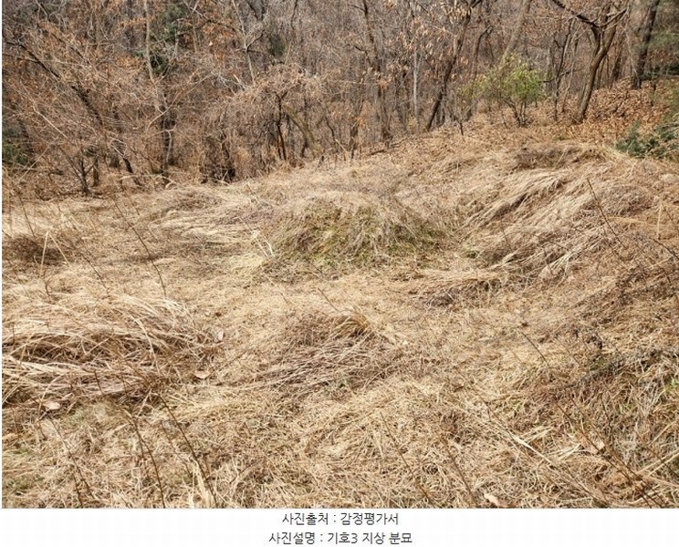 2024타경56451 경기도 평택시 도일동 산5-3 임야 경매 이미지