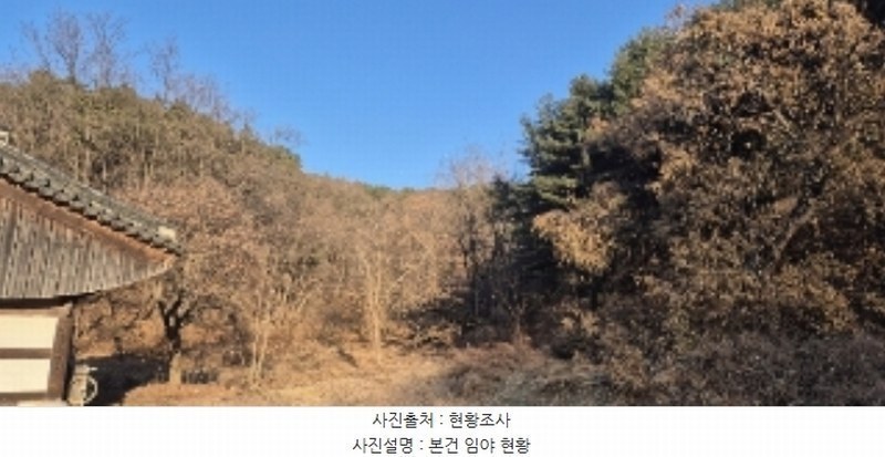 2024타경56451 경기도 평택시 도일동 산5-3 임야 경매 이미지