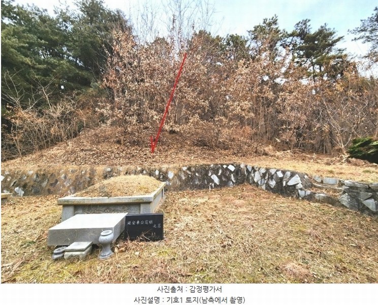 2024타경56451 경기도 평택시 도일동 산5-3 임야 경매 이미지