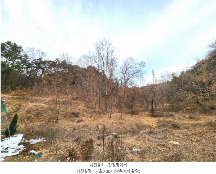 2024타경56451 경기도 평택시 도일동 산5-3 임야 경매 이미지