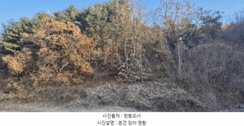 2024타경56451 경기도 평택시 도일동 산5-3 임야 경매 이미지