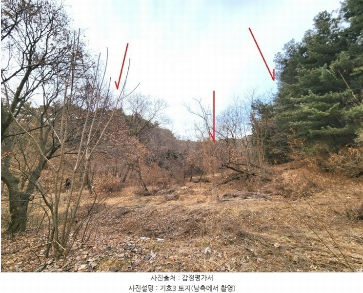 2024타경56451 경기도 평택시 도일동 산5-3 임야 경매 이미지