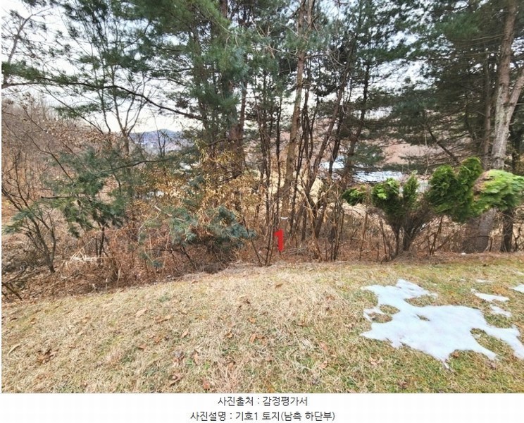 2024타경56451 경기도 평택시 도일동 산5-3 임야 경매 이미지