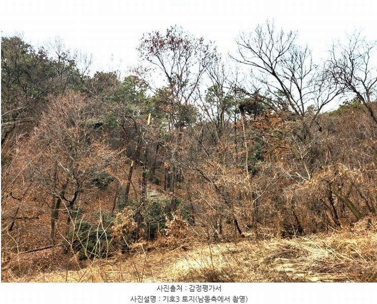 2024타경56451 경기도 평택시 도일동 산5-3 임야 경매 이미지