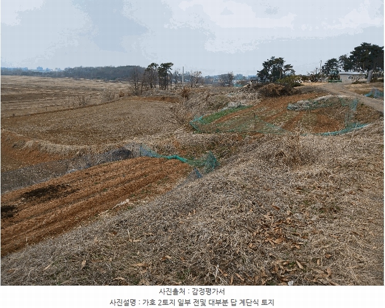 2025타경41440 경기도 평택시 포승읍 도곡리 577-3 농지 경매 이미지
