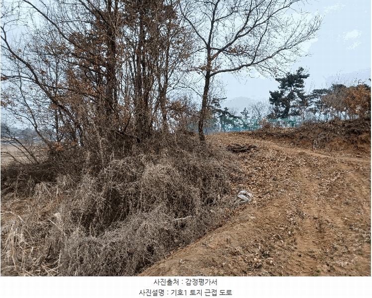 2025타경41440 경기도 평택시 포승읍 도곡리 577-3 농지 경매 이미지