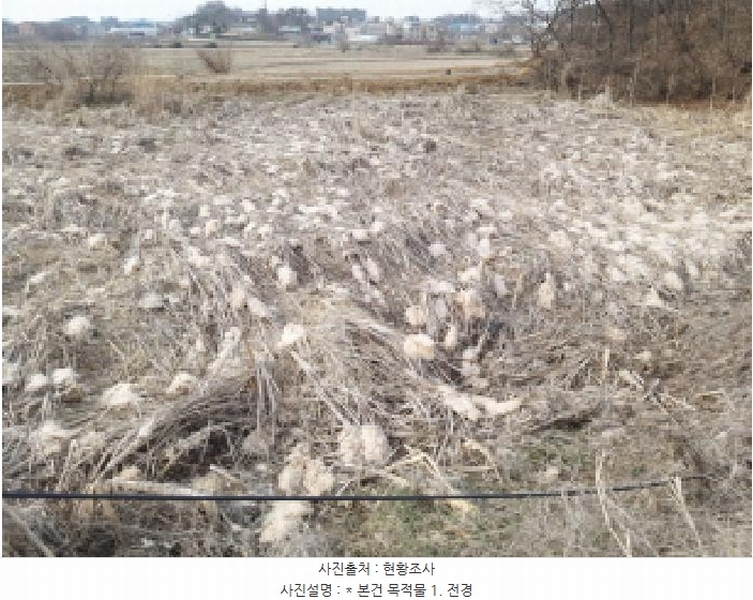 2025타경41440 경기도 평택시 포승읍 도곡리 577-3 농지 경매 이미지
