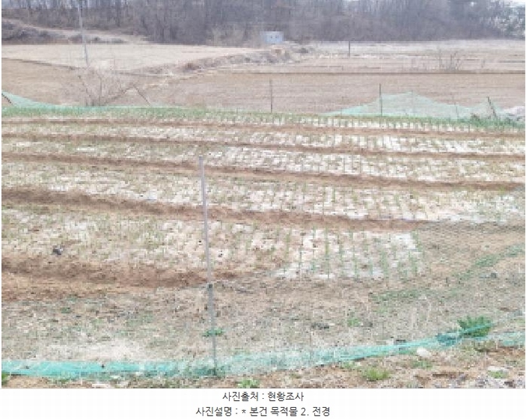 2025타경41440 경기도 평택시 포승읍 도곡리 577-3 농지 경매 이미지