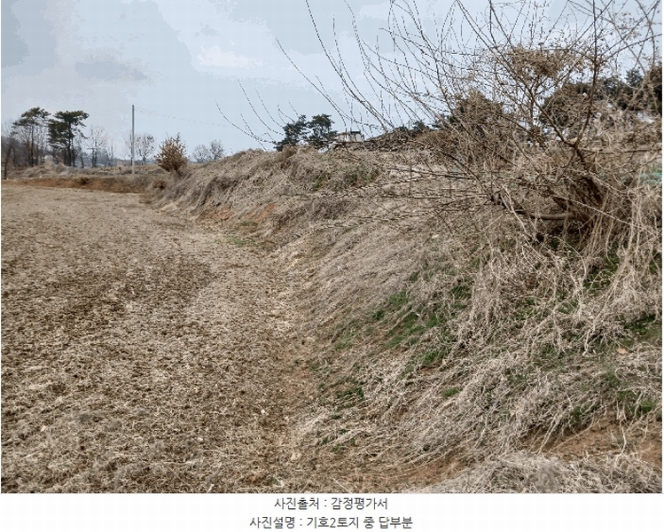 2025타경41440 경기도 평택시 포승읍 도곡리 577-3 농지 경매 이미지