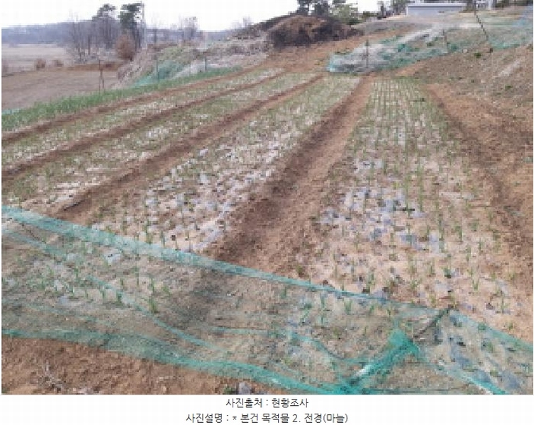 2025타경41440 경기도 평택시 포승읍 도곡리 577-3 농지 경매 이미지