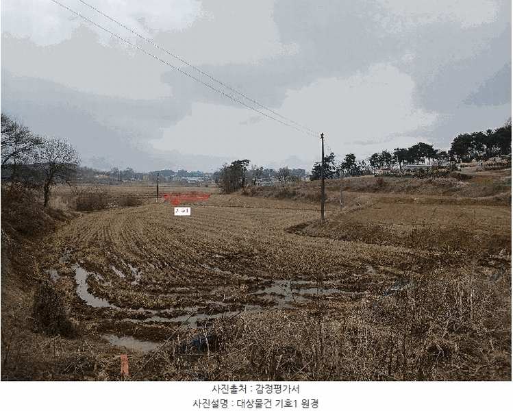 2025타경41440 경기도 평택시 포승읍 도곡리 577-3 농지 경매 이미지