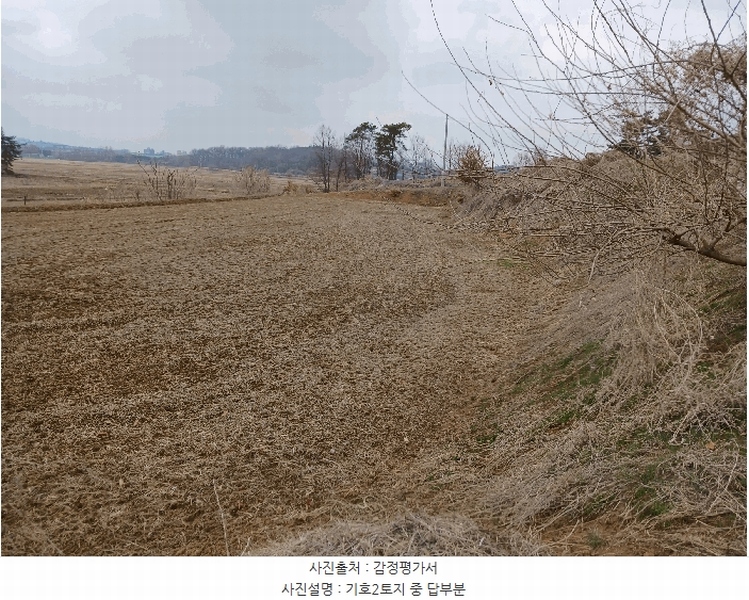 2025타경41440 경기도 평택시 포승읍 도곡리 577-3 농지 경매 이미지