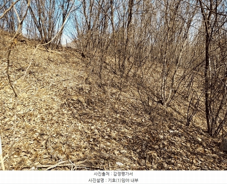 2025타경41481 경기도 안성시 죽산면 용설리 산175-2 임야 경매 이미지