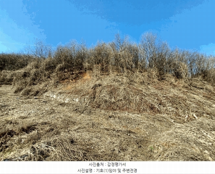 2025타경41481 경기도 안성시 죽산면 용설리 산175-2 임야 경매 이미지