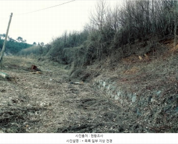 2025타경41481 경기도 안성시 죽산면 용설리 산175-2 임야 경매 이미지