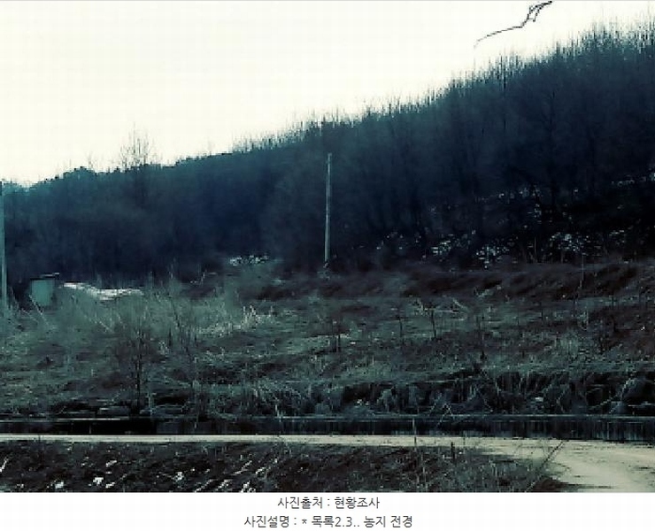 2025타경41481 경기도 안성시 죽산면 용설리 산175-2 임야 경매 이미지