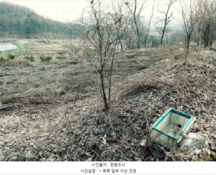 2025타경41481 경기도 안성시 죽산면 용설리 산175-2 임야 경매 이미지