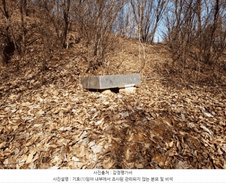2025타경41481 경기도 안성시 죽산면 용설리 산175-2 임야 경매 이미지
