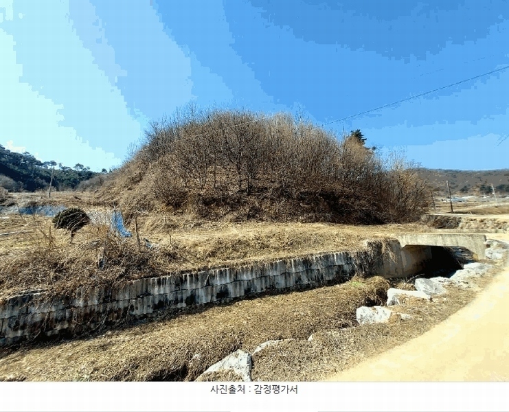 2025타경41481 경기도 안성시 죽산면 용설리 산175-2 임야 경매 이미지