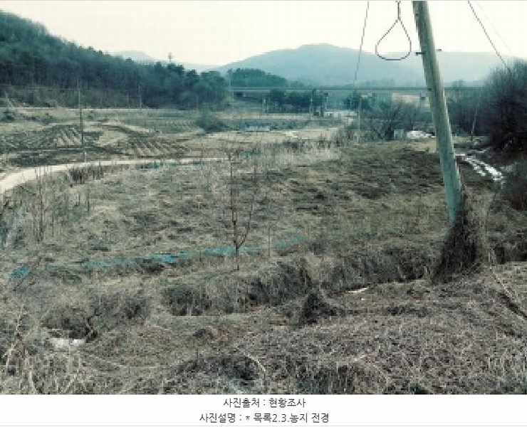 2025타경41481 경기도 안성시 죽산면 용설리 산175-2 임야 경매 이미지