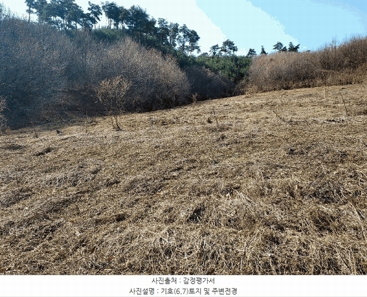 2025타경41481 경기도 안성시 죽산면 용설리 산175-2 임야 경매 이미지