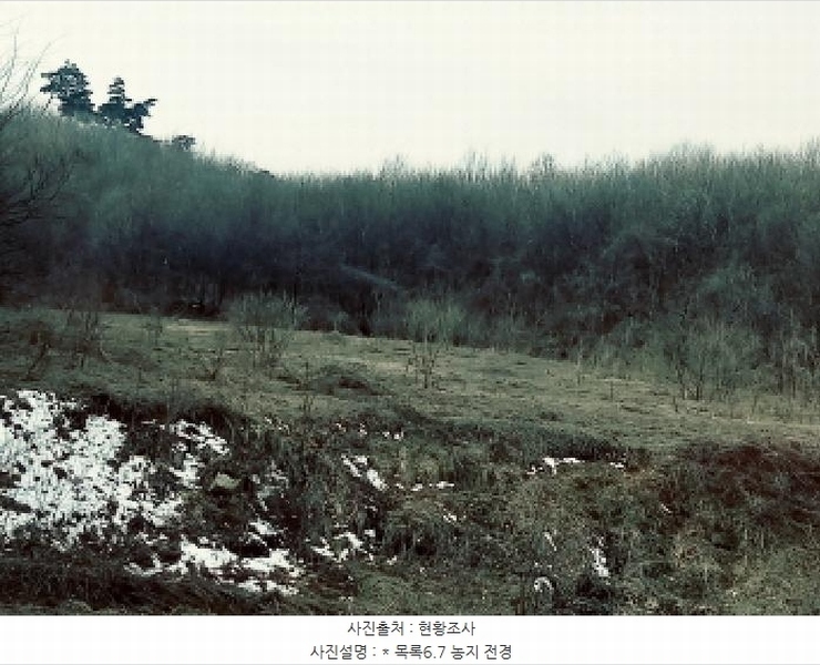 2025타경41481 경기도 안성시 죽산면 용설리 산175-2 임야 경매 이미지