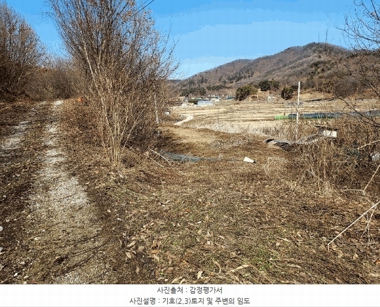 2025타경41481 경기도 안성시 죽산면 용설리 산175-2 임야 경매 이미지