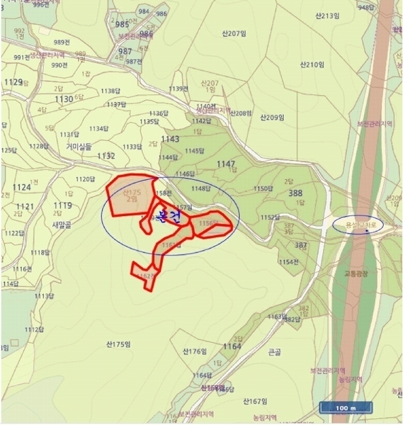 2025타경41481 경기도 안성시 죽산면 용설리 산175-2 임야 경매 이미지