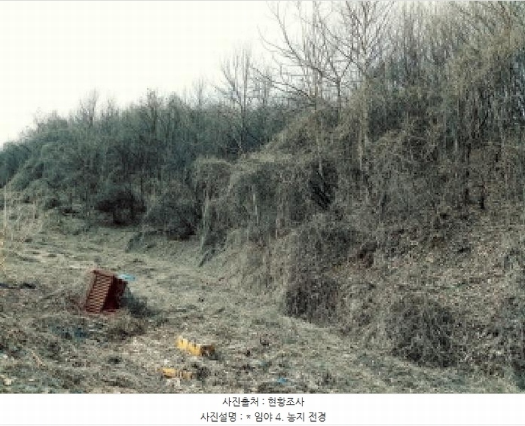 2025타경41481 경기도 안성시 죽산면 용설리 산175-2 임야 경매 이미지