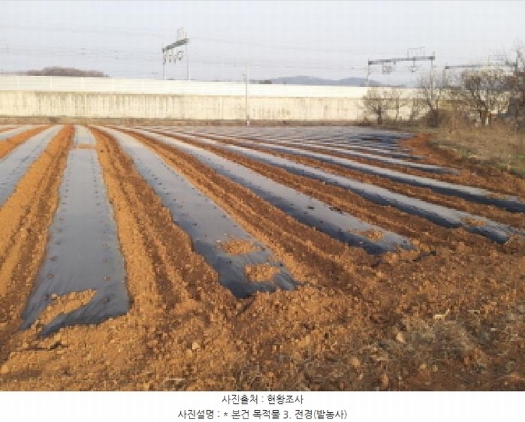 2025타경41563 경기도 평택시 현덕면 황산리 41-30 임야 경매 이미지