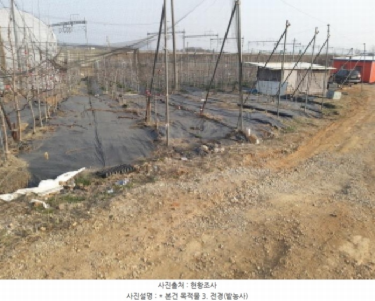 2025타경41563 경기도 평택시 현덕면 황산리 41-30 임야 경매 이미지