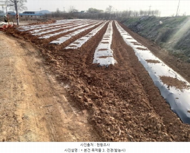 2025타경41563 경기도 평택시 현덕면 황산리 41-30 임야 경매 이미지