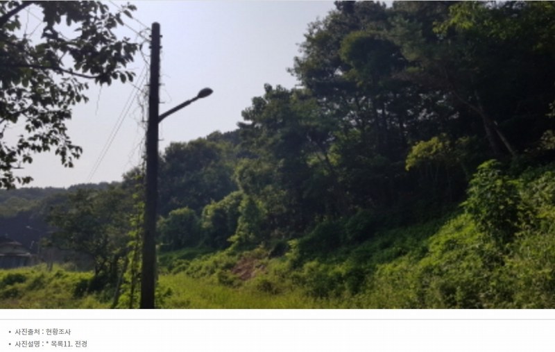 2024타경2966 경기도 안성시 죽산면 용설리 1184-5 임야 경매 이미지