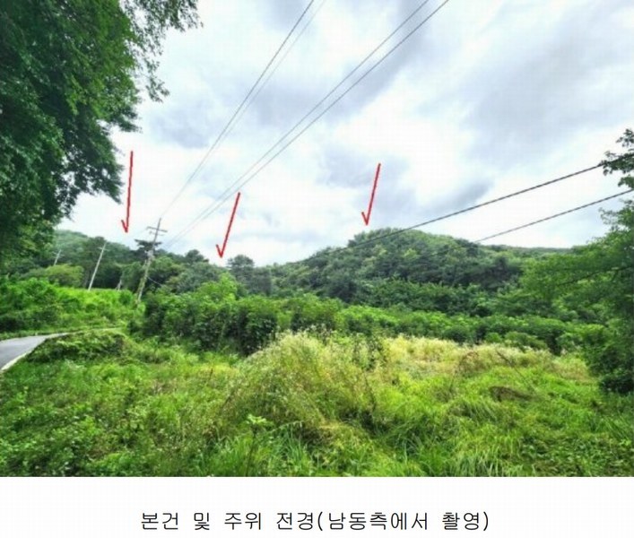2024타경2966 경기도 안성시 죽산면 용설리 1184-5 임야 경매 이미지