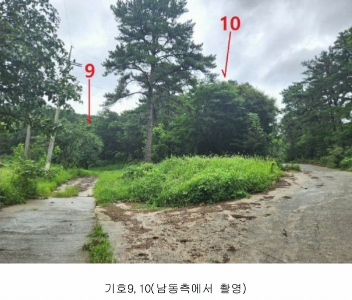 2024타경2966 경기도 안성시 죽산면 용설리 1184-5 임야 경매 이미지