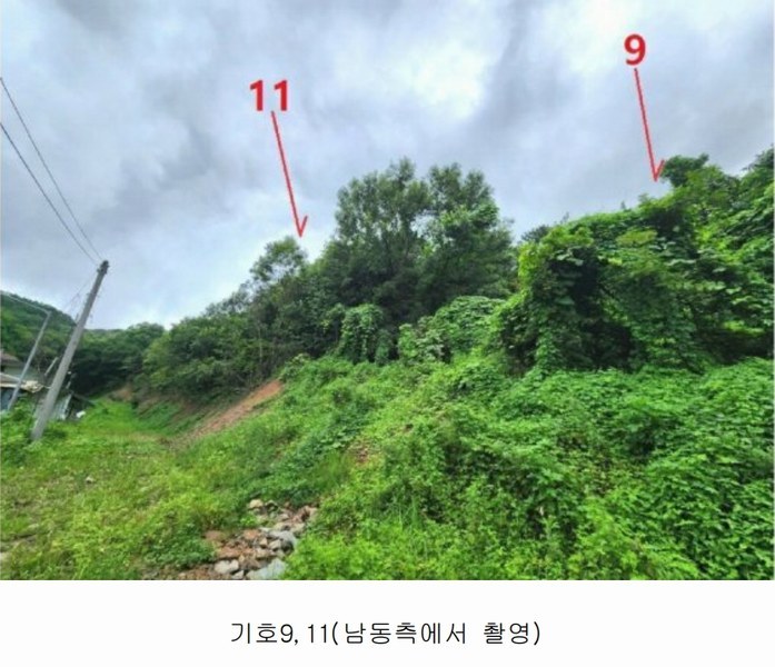 2024타경2966 경기도 안성시 죽산면 용설리 1184-5 임야 경매 이미지