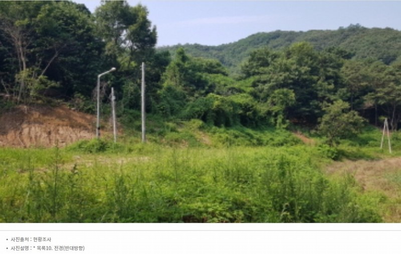 2024타경2966 경기도 안성시 죽산면 용설리 1184-5 임야 경매 이미지