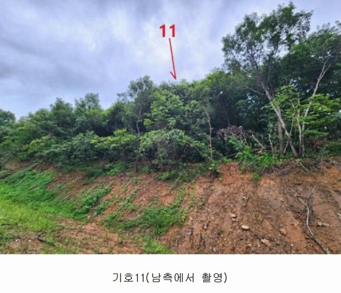 2024타경2966 경기도 안성시 죽산면 용설리 1184-5 임야 경매 이미지