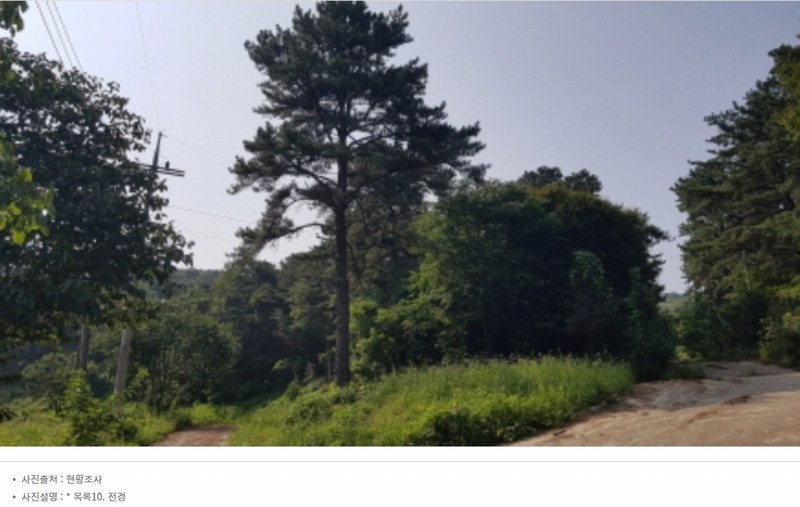 2024타경2966 경기도 안성시 죽산면 용설리 1184-5 임야 경매 이미지