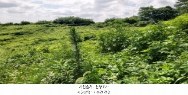 2024타경40210 경기도 평택시 서정동 산106-1 임야 경매 이미지