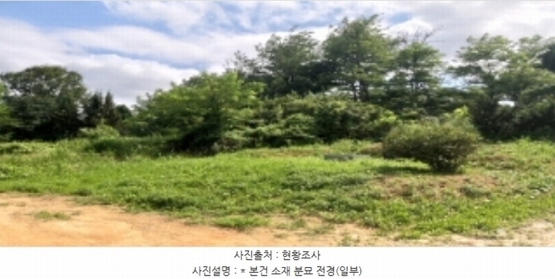 2024타경40210 경기도 평택시 서정동 산106-1 임야 경매 이미지