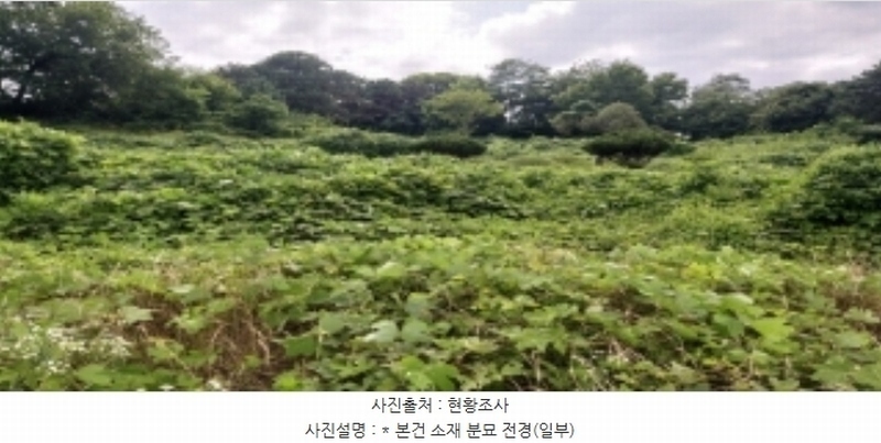 2024타경40210 경기도 평택시 서정동 산106-1 임야 경매 이미지
